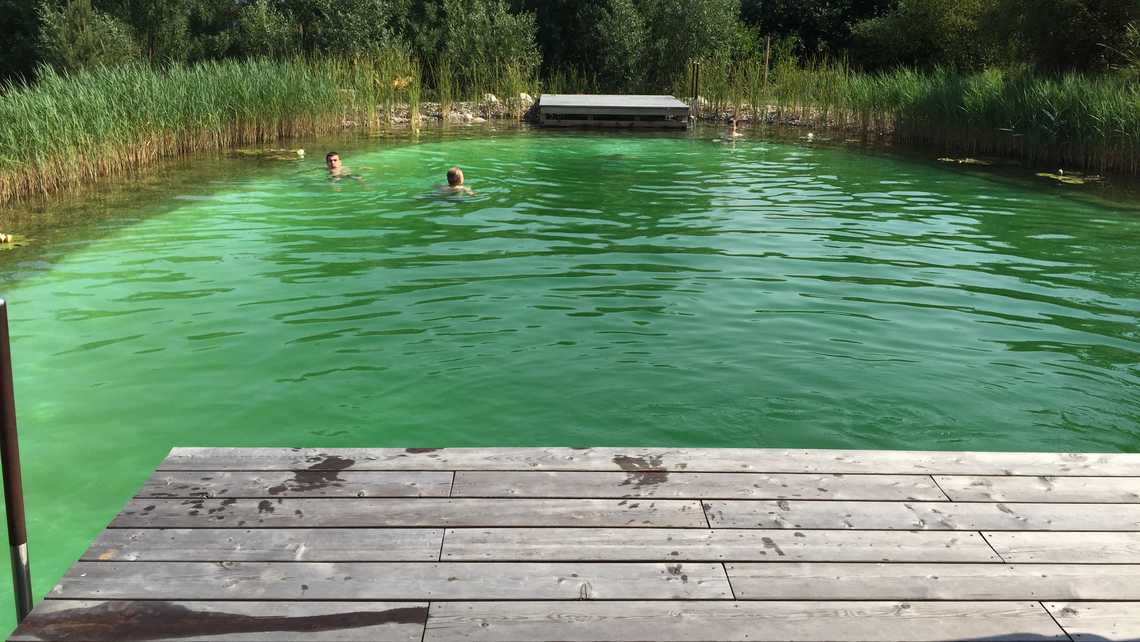 Schwimmteich Ahnatal 