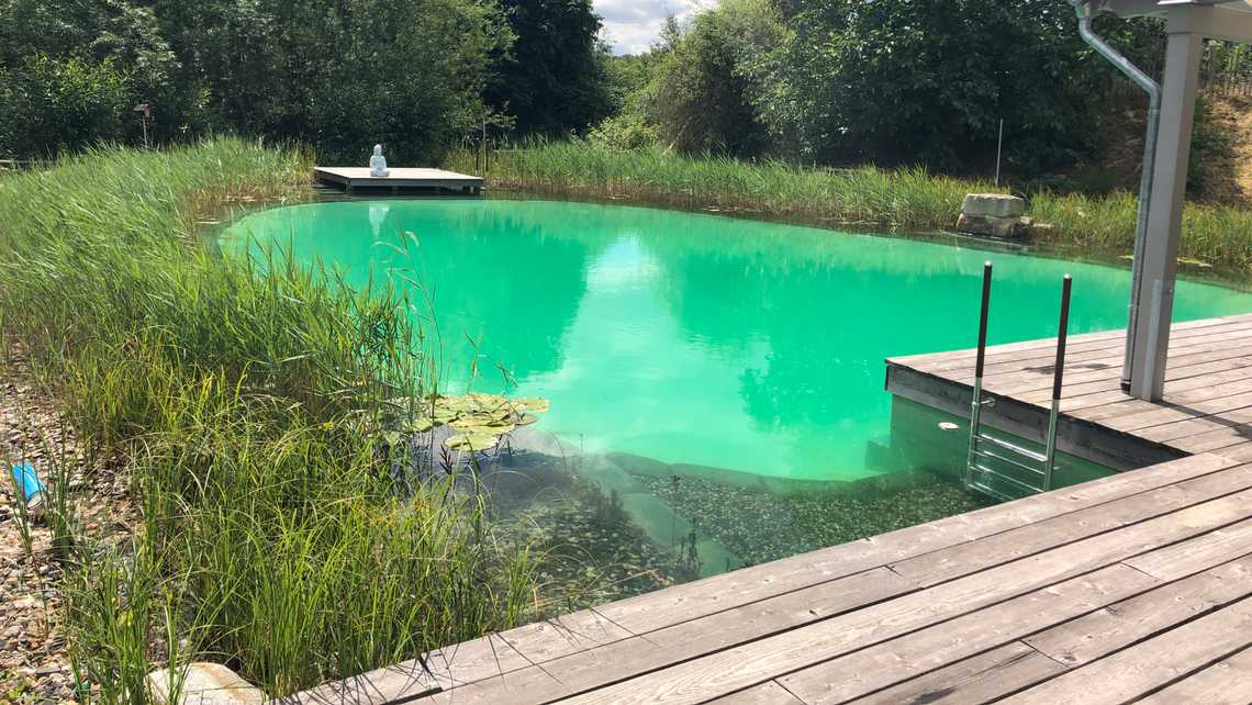 Schwimmteich Ahnatal 